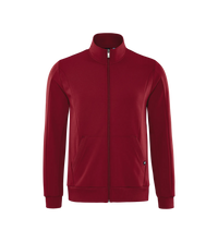 schneider sportswear Männer-Basic-Jacke TROYM